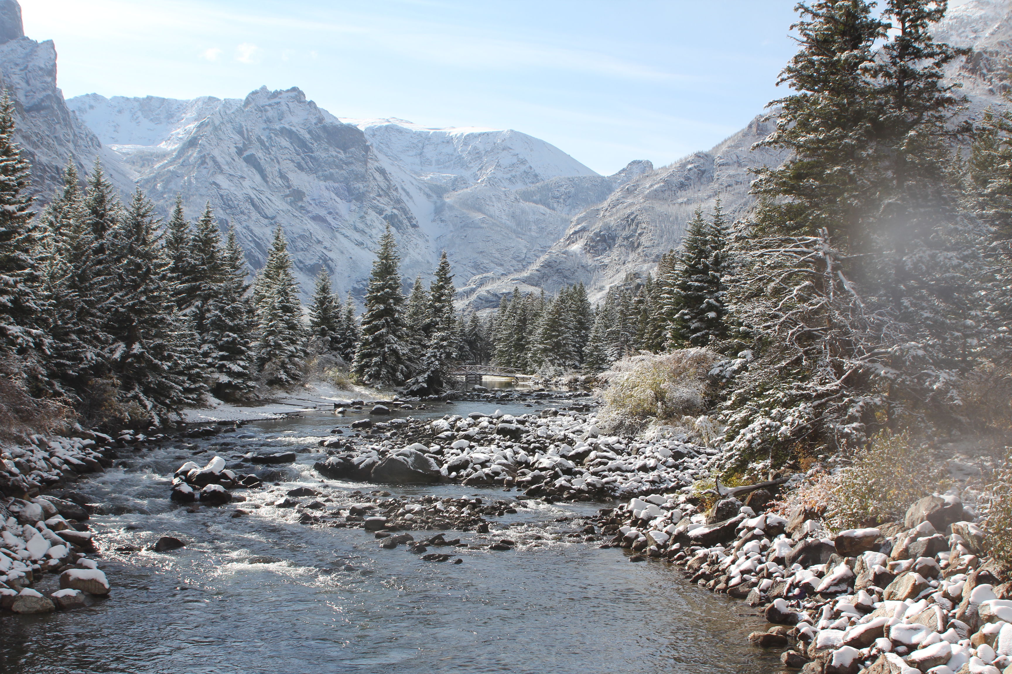 The Rosebud in Winter